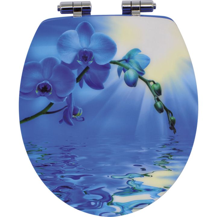 Wc-istuinkansi Blue Lagoon