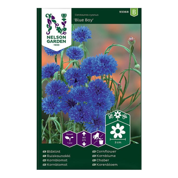 Ruiskaunokki Nelson Garden Blue Boy