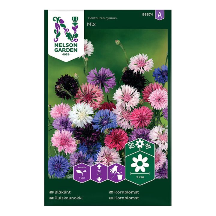 Ruiskaunokki mix Nelson Garden