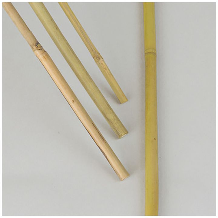 Kukkakeppi bambu 120 cm 5 kpl