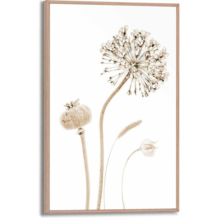Sisustustaulu Reinders Flower Stills 20 x 30 cm