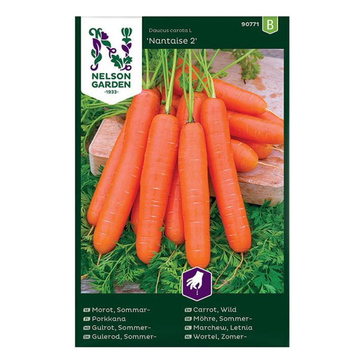 Kesäporkkana Nelson Garden Nantaise