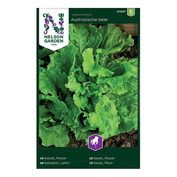 Lehtisalaatti Nelson Garden Australische Gele