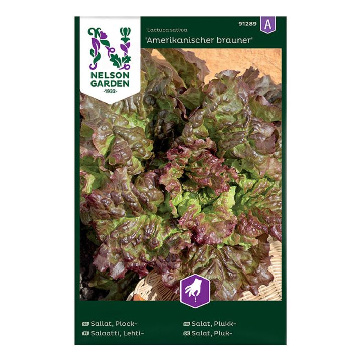 Lehtisalaatti Nelson Garden Amerikanischer brauner