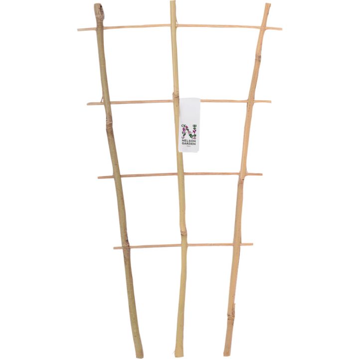 Ruukkusäleikkö bambu 60 cm