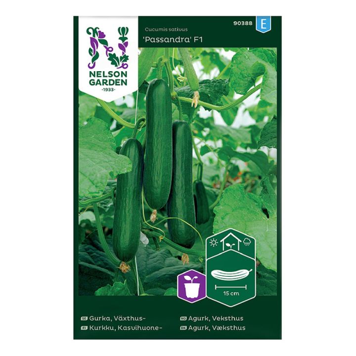 Kasvihuonekurkku Nelson Garden Passandra