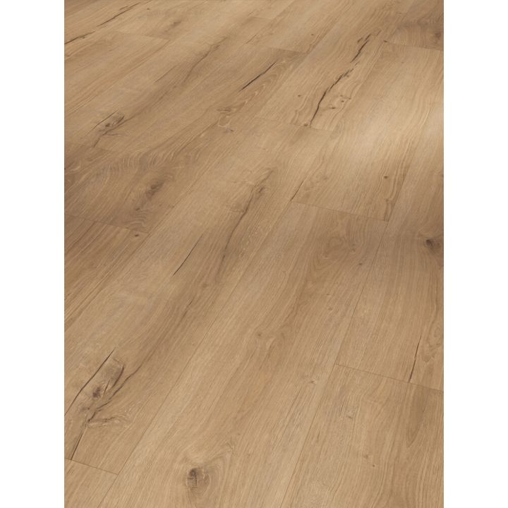 Vinyylilankku Parador Basic 5.3 SPC Oak Cambridge Natural
