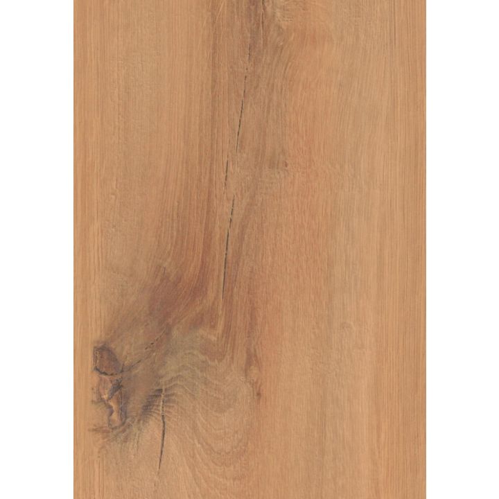 Laminaatti Logoclic Edition Sunshine Oak 8 x 245 x 1288 mm