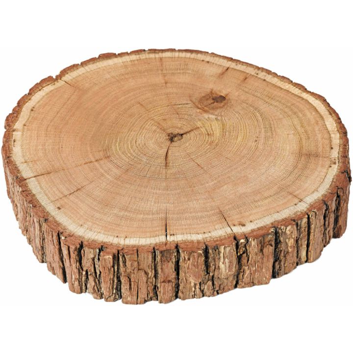 Puukiekko Tammi 20 - 30 cm