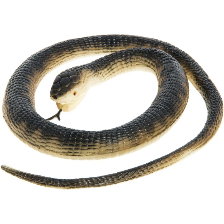 Linnunpelätinkäärme 105 cm