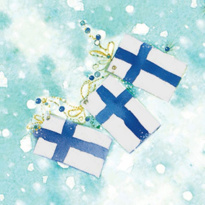 Lautasliina Havi 20 kpl 24 cm Suomenlippu