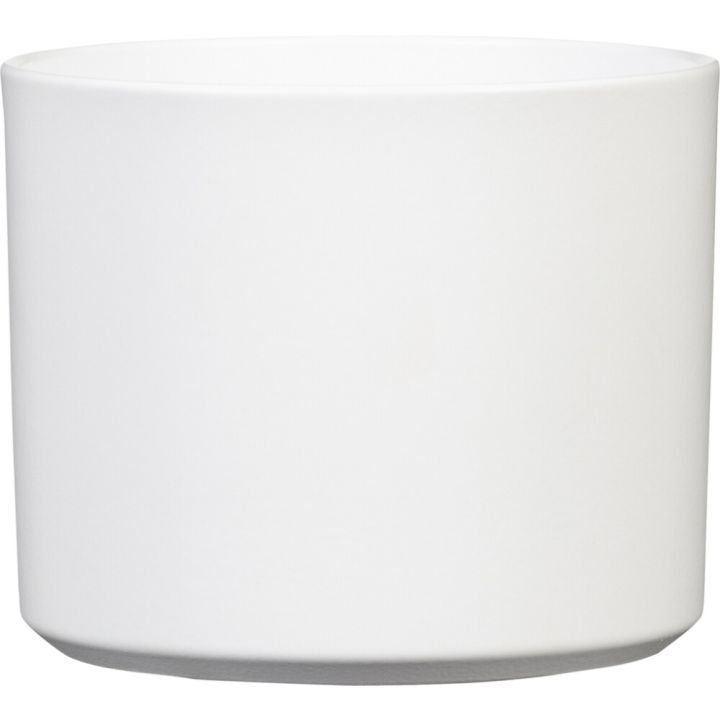 Suojaruukku Monaco valkoinen 19 cm