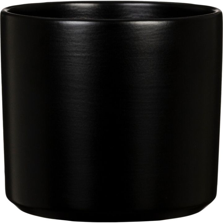 Suojaruukku Monaco musta 14 cm