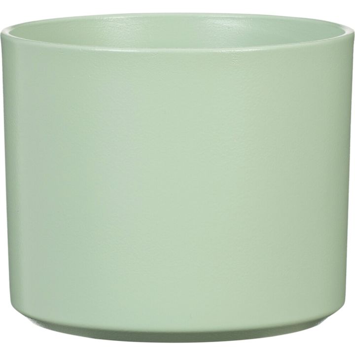 Suojaruukku Monaco lehmuksen vihreä 14 cm