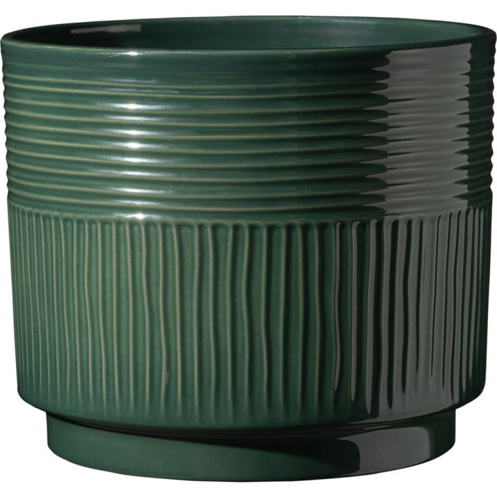 Suojaruukku Soendgen Nara Sabi tummanvihreä 13 cm