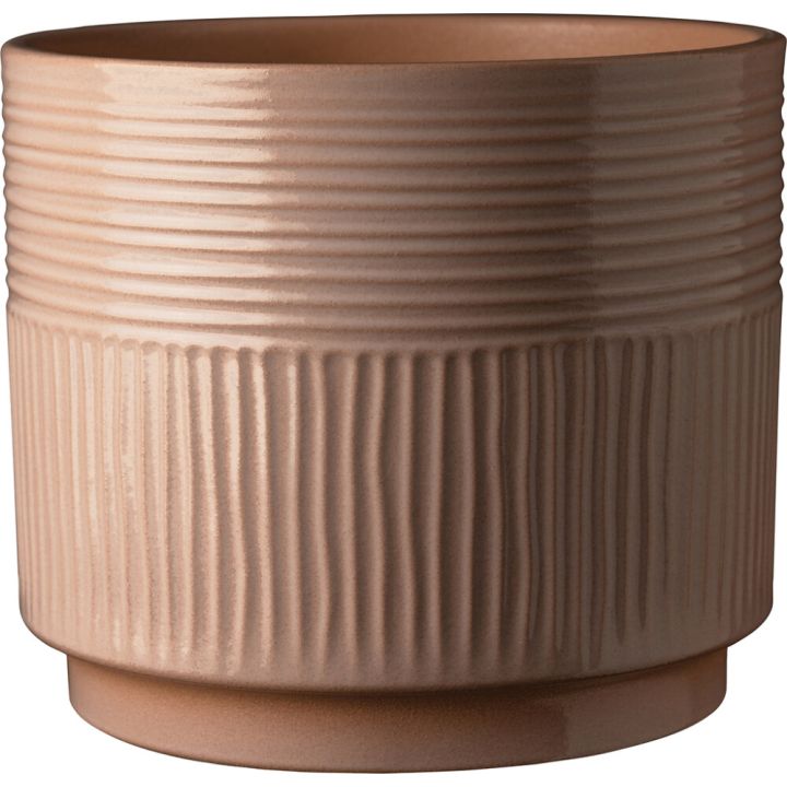 Suojaruukku Soendgen Nara Terra beige 13 cm