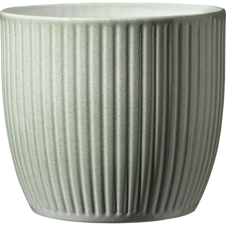 Suojaruukku Soendgen Belice vihreä 14 cm