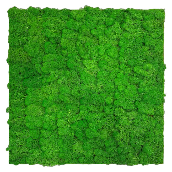 Seinäpaneeli Jangal Rich Green 52 x 52 cm