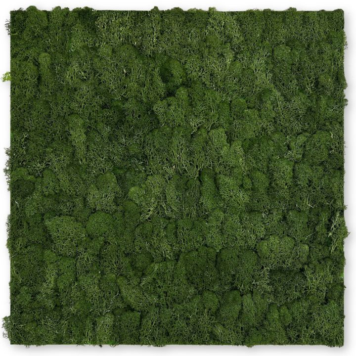 Seinäpaneeli Jangal Moss Dark Green 52 x 52 cm