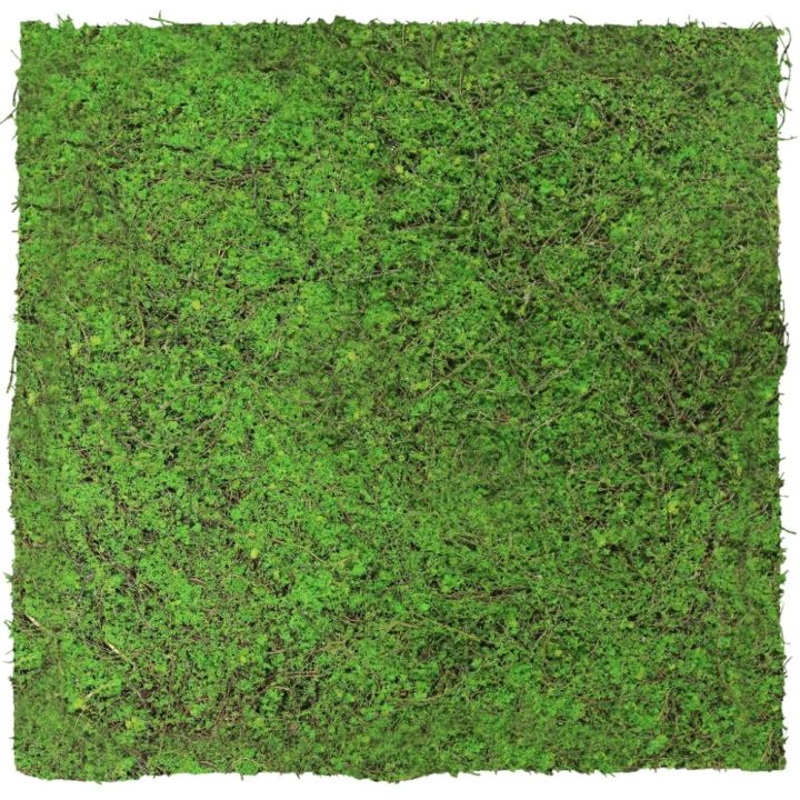 Seinäpaneeli Jangal Forest Green Ancient Tree 52 x 52 cm