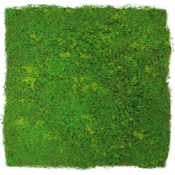 Seinäpaneeli Jangal Light Green Design 52 x 52 cm