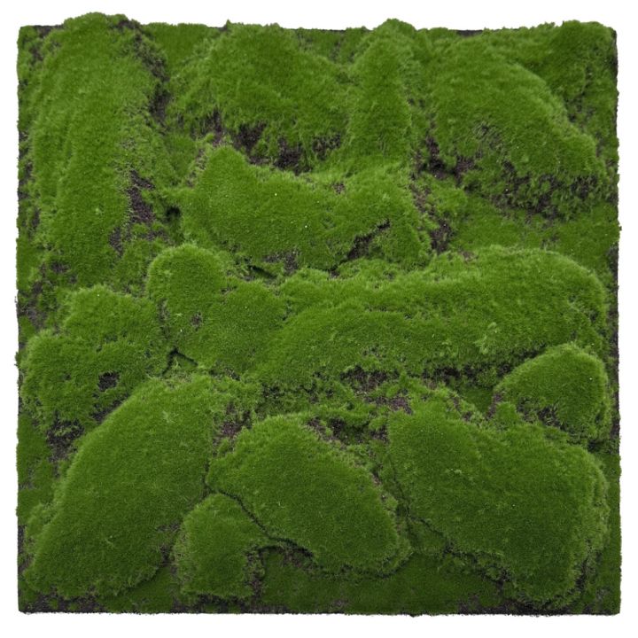 Seinäpaneeli Jangal Dark Green Design 52 x 52 cm