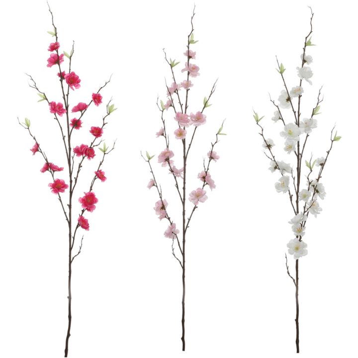 Koristeoksa kirsikka lajitelma 125 cm