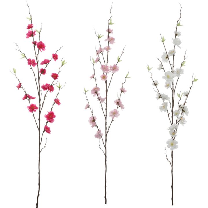 Koristeoksa kirsikka 125 cm