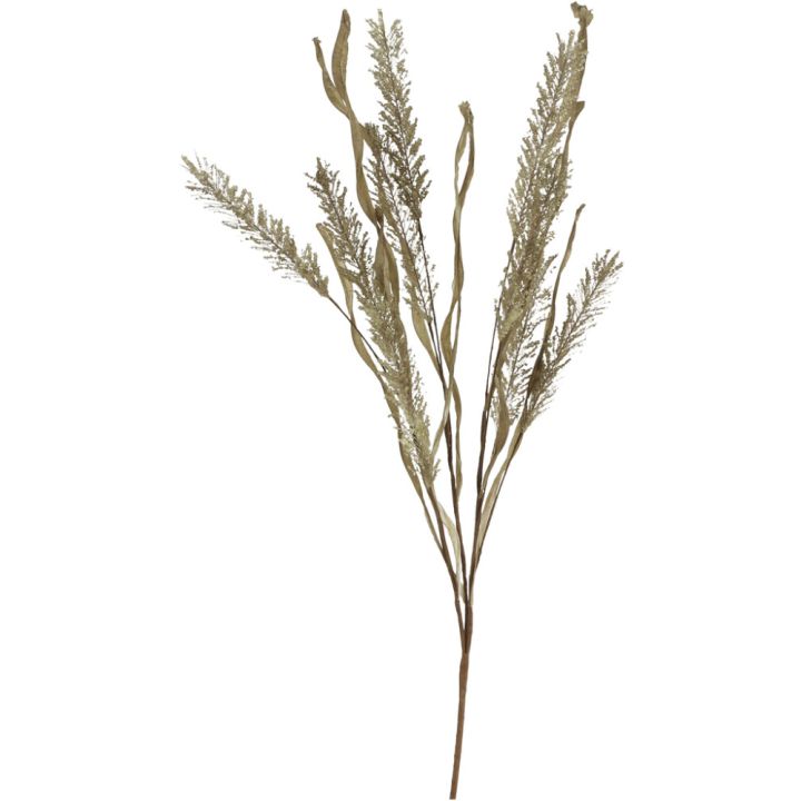 Koristeoksa Erica 60 cm