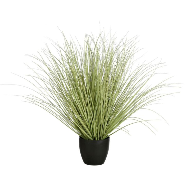 Silkkikasvi Heinä ruukussa 68 cm