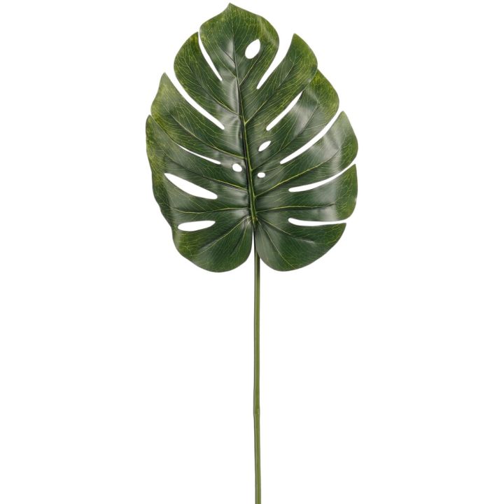 Silkkikasvi Peikonlehden oksa 75 cm
