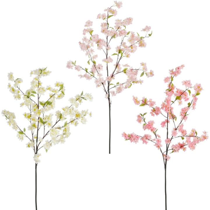 Silkkikasvi Kirsikanoksa lajitelma 120 cm