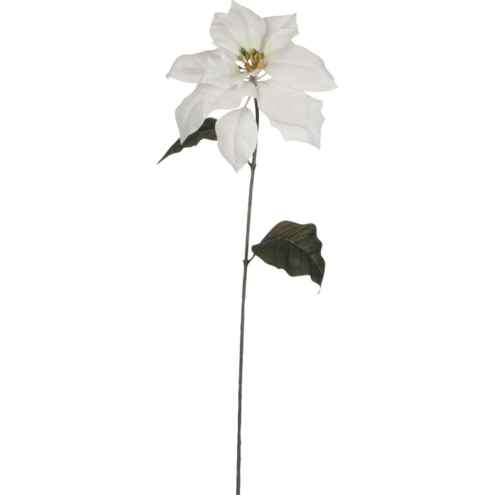 Silkkikasvi Joulutähti 71 cm valkoinen