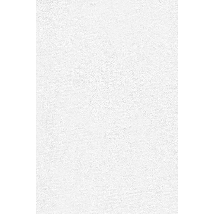 Tasoitetapetti Patent Decor Express 0,75 x 25 m