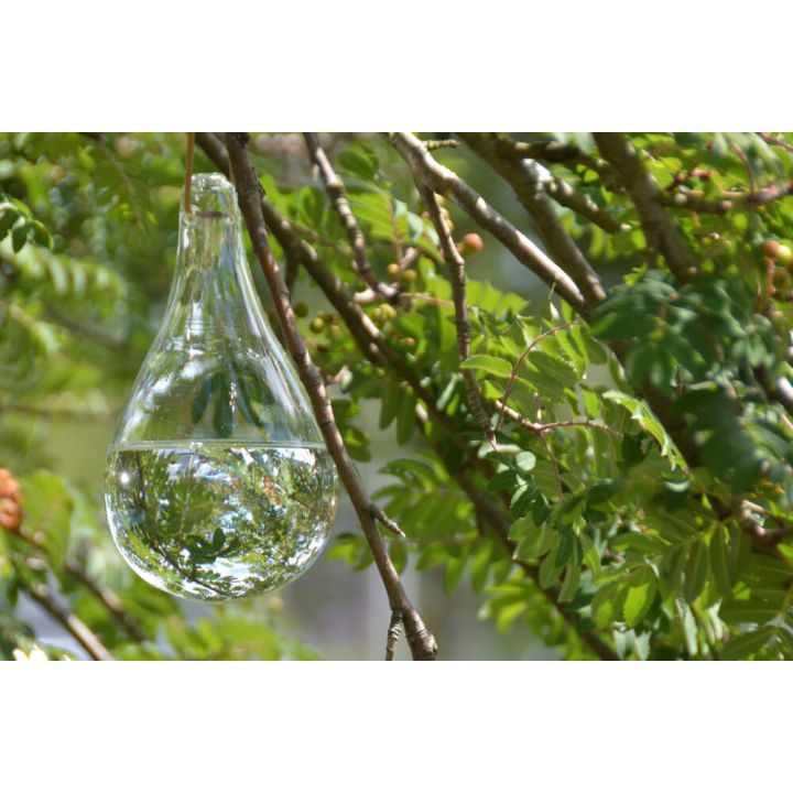 Kärpäskarkotin lasipisara