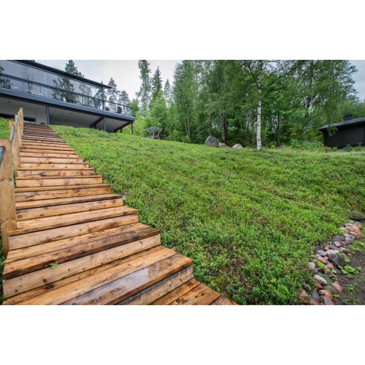 Kuntta Finnurmi 300–399 m², sis. rahti