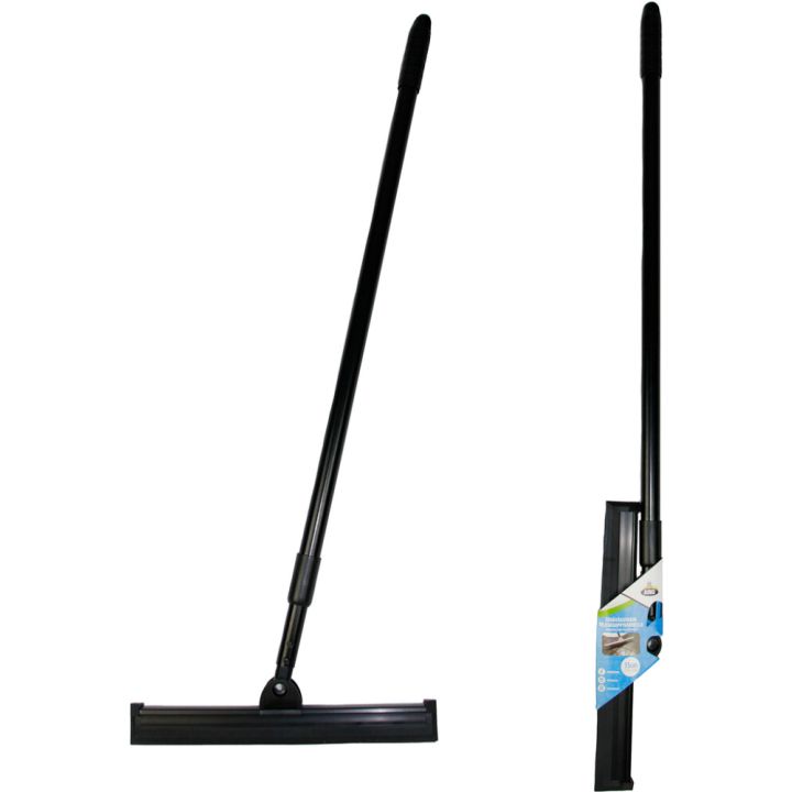 Teräväkuivain Aino musta