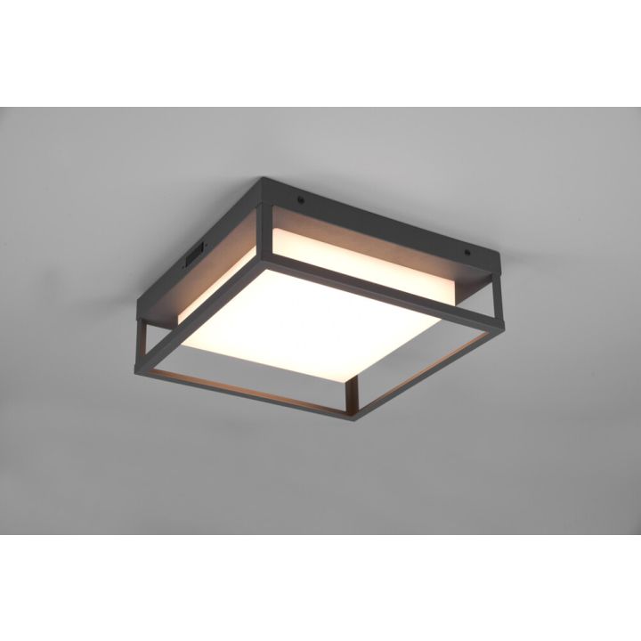 Ulkokattovalaisin Trio Witham