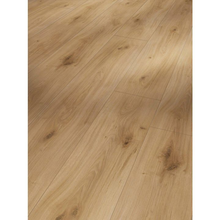 Laminaatin mallipala Parador Basic 600 Oak Horizont Natural