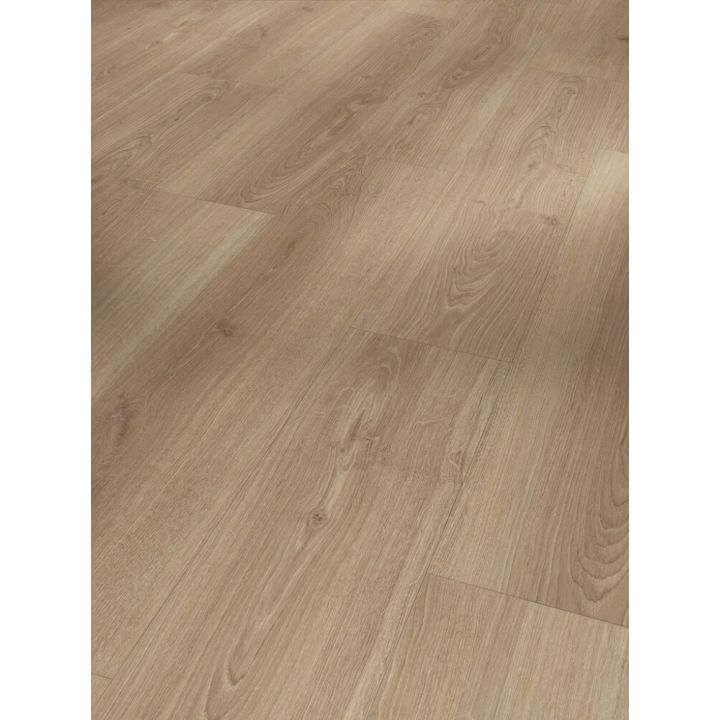 Laminaatin mallipala Parador Basic 600 Oak Studioline macchiato