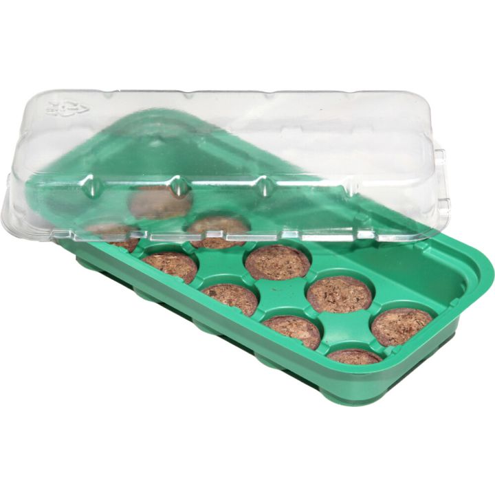 Minikasvihuone 25,5 x 12,5 x 6 cm