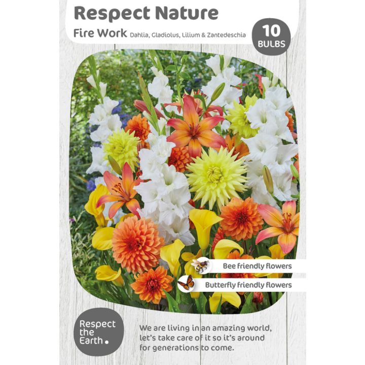 Kevätkukkasipuli Kapiteyn Respect Nature Fire Work 10 kpl