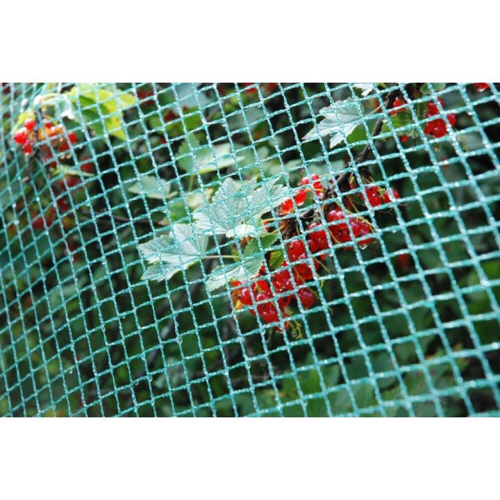 Rastasverkko pienisilmäinen 40 m²