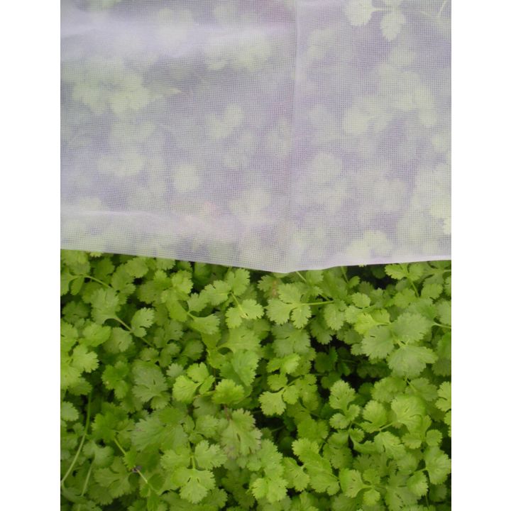 Tuhohyönteisverkko 7 m²