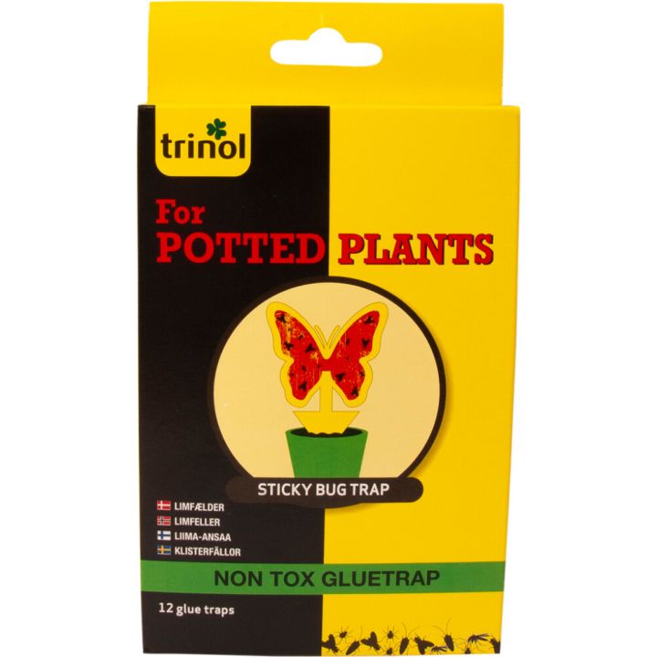 Liima-ansa Trinol Sticky Bug Trap 12 kpl