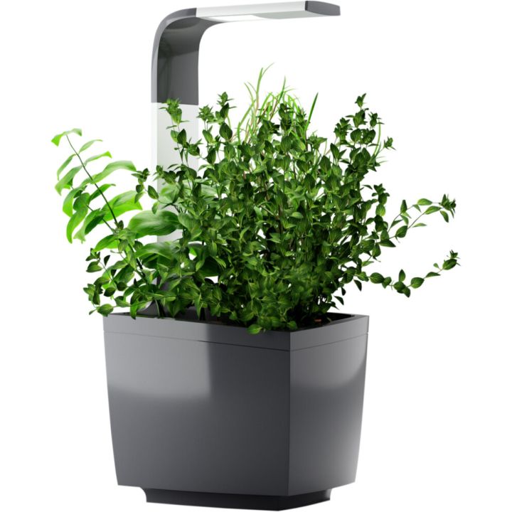 Sisäpuutarha Tregren T3 harmaa