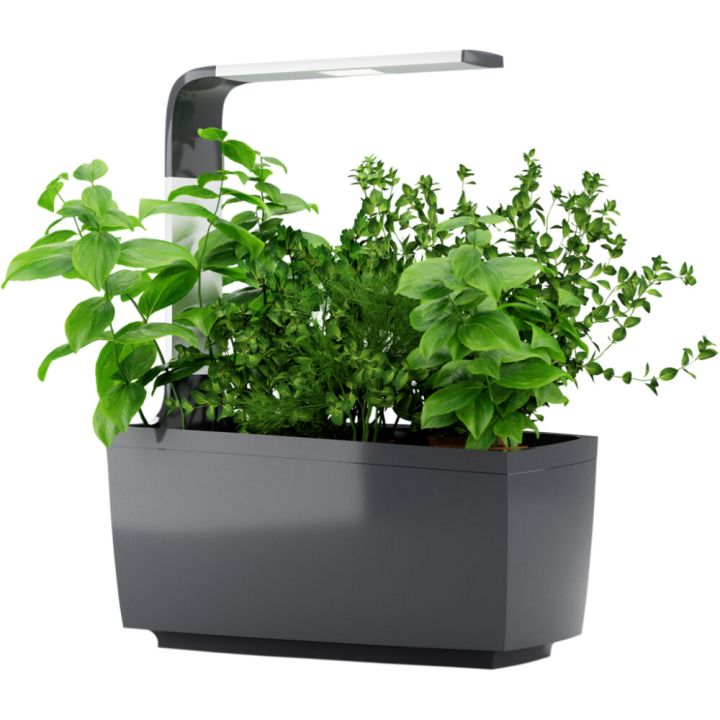 Sisäpuutarha Tregren T6 harmaa