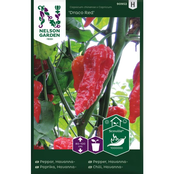 Chilipaprika Havanna Drago Red