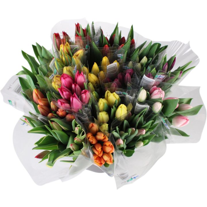 Tulppaaninippu 10 kpl Kotimainen