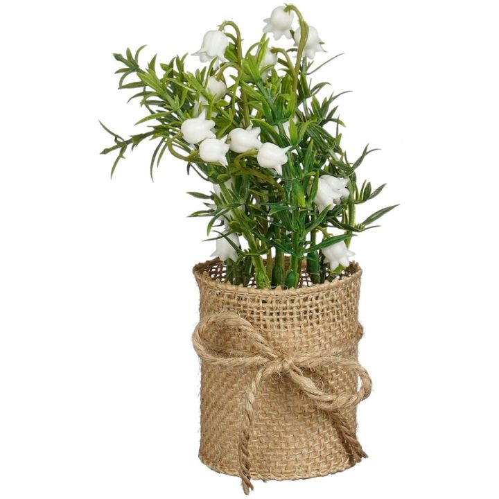 Silkkikasvi juuttiruukussa lajitelma